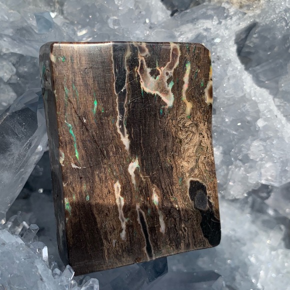 Precious conk opal - Picture 3 of 7